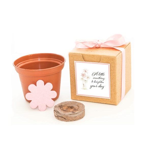 Flower Seed Grow Kit , A Little Something Special to Brighten Their Day, Fun Indoor/Outdoor Garden Activity Gift with Flower Seeds to Grow Il_570xn