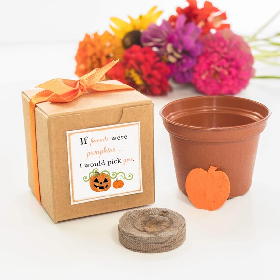 Halloween Party Favors Gifts for Friends, Halloween Tablescape Decoration, Pumpkin Shaped Flower Seed Starter Garden Grow Kits Il_570xn