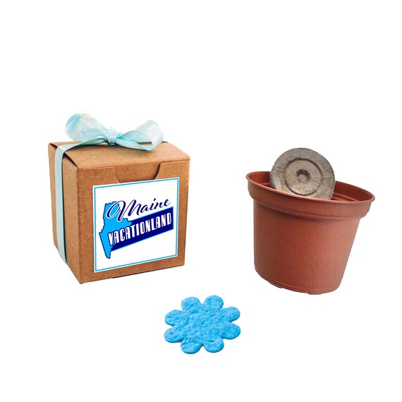 Maine Themed Gift Box Flower Garden Grow Kit, Housewarming gift, indoor outdoor garden experience, Maine souvenir gift, small state gifts Il_570xn