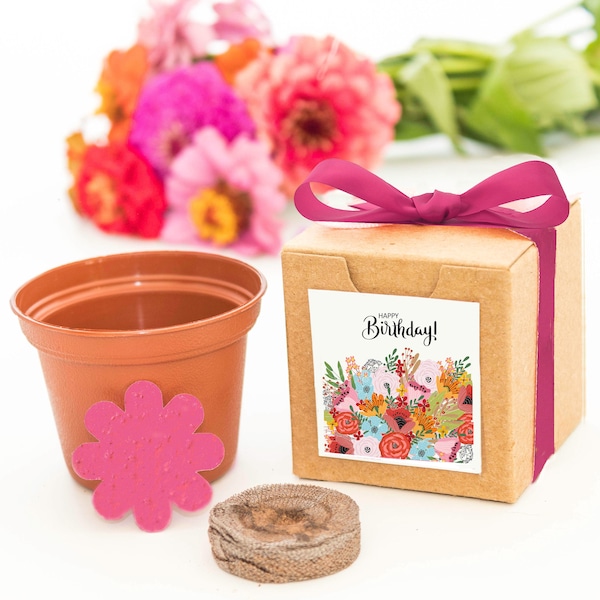 Birth Month Flower Grow Kit Etsy