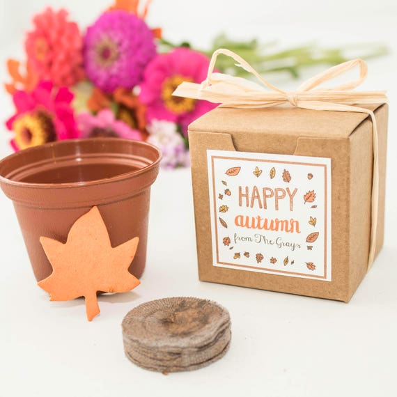 Mini Flower Garden Grow Kit Plantable Maple Leaf With Flower