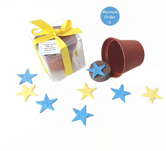 Mini Twinkle Twinkle Little Star Flower Garden Grow Kits - Personalized for Boy or Girl Star Themed Baby Showers - Star Themed Party Favors Il_570xn
