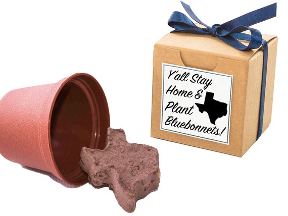 Y'all Stay Home & Plant Bluebonnets At Home Activity Garden Gift Set Kits with Texas Shape Family Activity Crafts Il_570xn