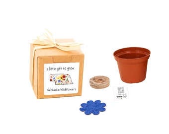 GIFTS to GROW  Nebraska Wildflower Grow Kit, Small Indoor Outdoor Sustainable Garden Gift Experience, Gift-Ready Flower Seed Planter Gift