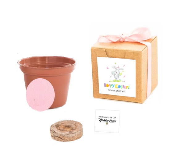 Easter Gift Box Grow Kits, Small, Sustainable Gifts for Kids Party Favors, Boys & Girls Easter Basket Stuffers, Unique Garden Activity Gift Il_570xn