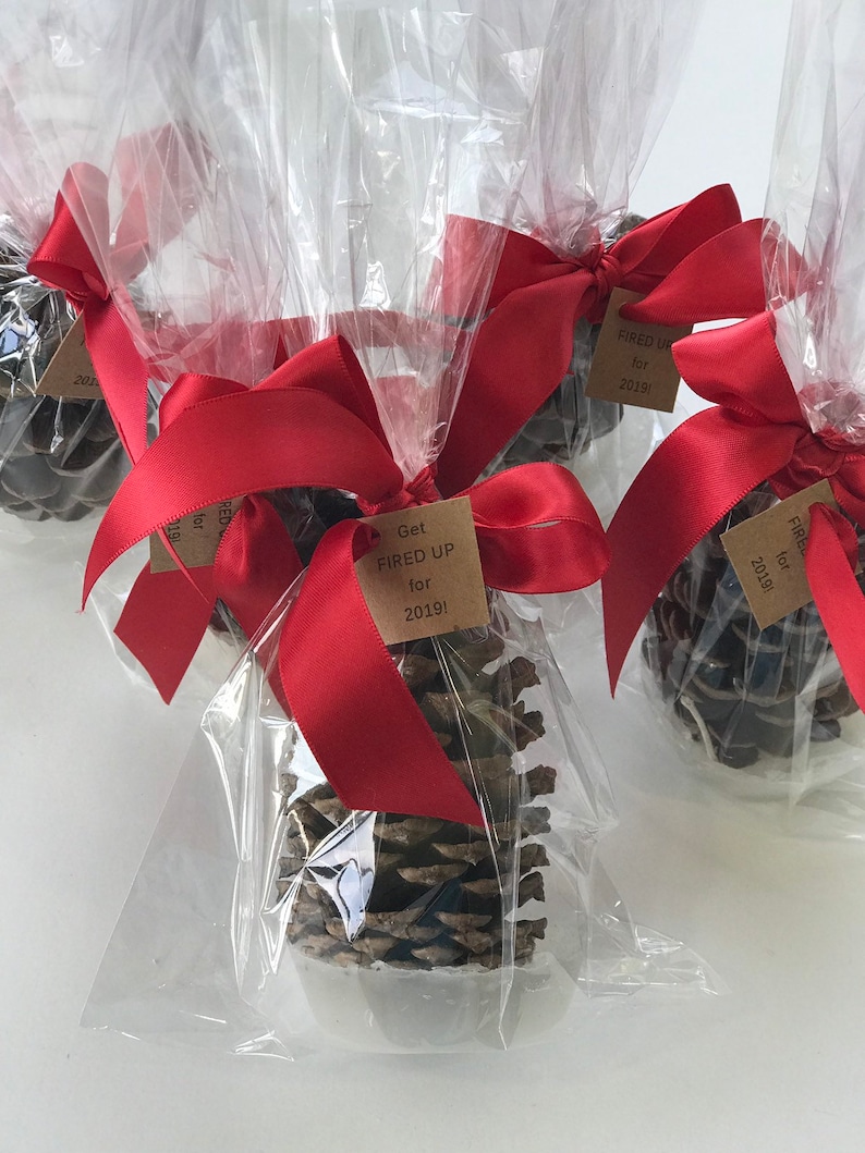 Pinecone Fire Starter Party Favors in Clear Gift Bags Etsy