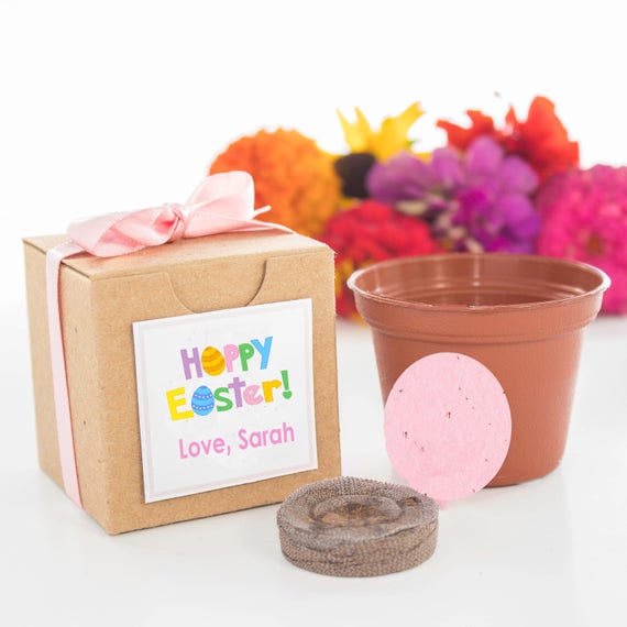 Mini Easter Egg Flower Garden Grow Kit | Personalized gifts and party favors for boys & girls Easter parties | Unique Easter Basket Filler Il_570xn
