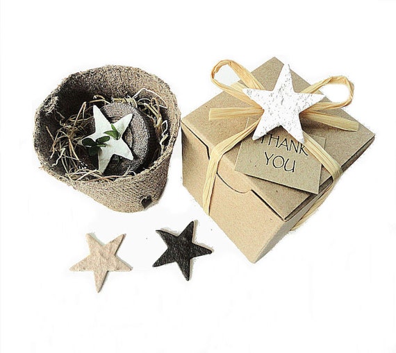Mini Flower Garden Grow Kits | Plantable Seed Paper Star Themed Gifts Personalized for Parties, Showers, Wedding Favors Il_570xn