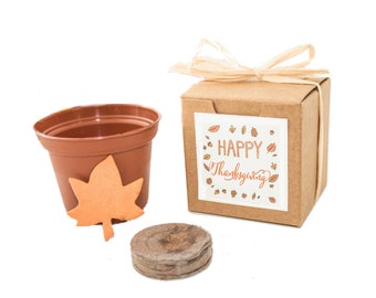 Thanksgiving Gift to Grow a Flower Garden, Little Sustainable Grow Kit, Fun, Fall Garden Activity for Men, Women, Kids & Adults, Boy or Girl