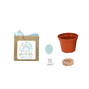 Seed Kit Easter Gifts for Kids & Adults, Boys and Girls, Fun, Educational Garden Gift, Easter Basket Filler, Easter Party Favor, Easter Gift blue egg/blue ribbon