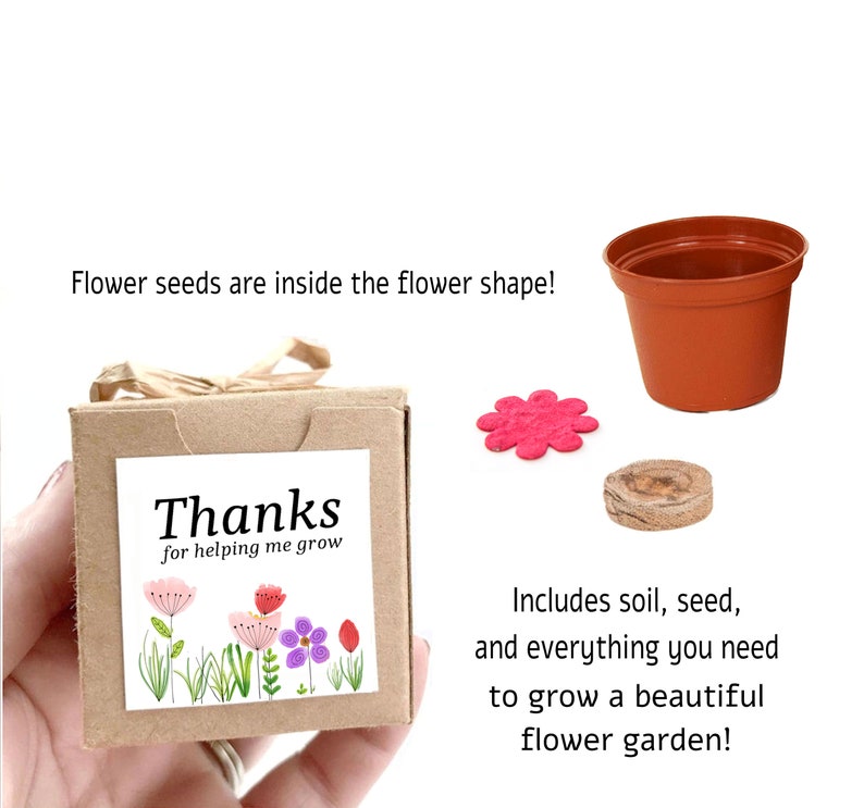 Thank You Gift for Teacher Mini Flower Seed Starter Kit Unique, Fun, Indoor/Outdoor Gift Idea with Optional Personalized Gift Message image 3