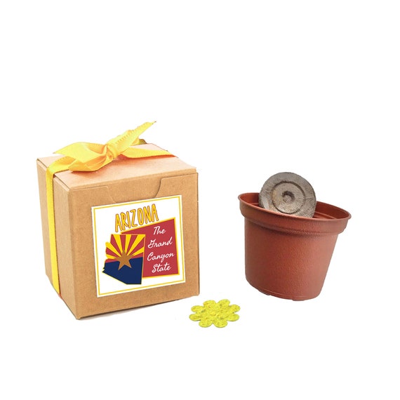 Arizona State Wildflower Seed Grow Kit with Native Wildflower Seeds, Fun Garden Gift, Grand Canyon State Souvenir Gift to Grow Il_570xn