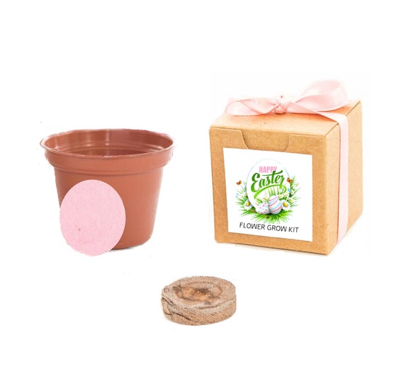 Mini Easter Flower Garden Grow Kit, Gift Ready Easter Activity for Adults and Kids, Boy or Girl, Easter Basket Filler, Home Garden Activity Il_570xn