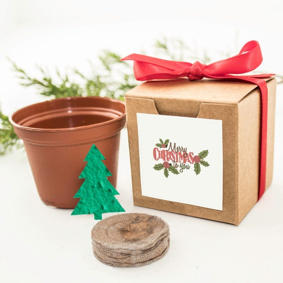 Grow a Christmas Tree! Christmas Gift, Holiday Party Favor for Men, Women, Friends, Coworkers, Employees, Mom or Dad, Fun at Home Activity Il_570xn