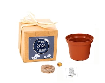 2024 Solar Eclipse Moonflower Grow Kit, Blooms at Night, Fun Family Garden Activity, Kids & Adults, Beneficial Pollinator for Moths and Bats