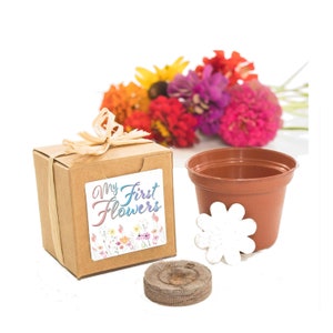 Mini Flower Garden Growing Kit Baby Shower Gift or Favor, Rainbow First Flower Growing Kit, Homeschool Activity, DIY Flower Seed Garden image 1