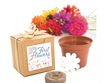 Mini Flower Garden Growing Kit Baby Shower Gift or Favor, Rainbow First Flower Growing Kit, Homeschool Activity, DIY Flower Seed Garden