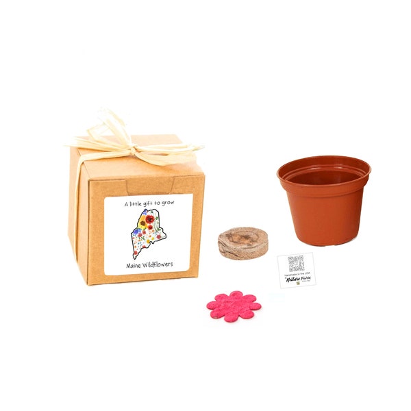 GIFTS to GROW Maine Wildflower Grow Kit, Small, Sustainable Gift for Men & Women, Indoor garden plant experience, entertaining, gift-ready