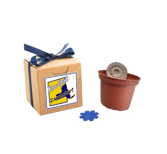 New York State Themed Flower Seed Grow Kit, Native Flower Seeds, At Home Indoor Outdoor Garden Activity, New York Empire State Souvenir Gift Il_570xn