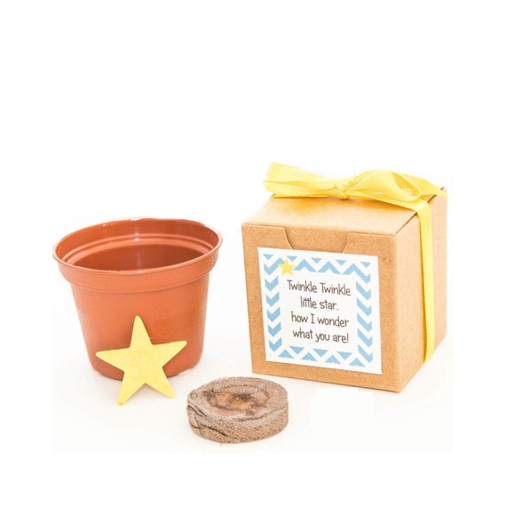 Twinkle Twinkle Little Star Baby Shower Favor Flower Garden Growing Kit for Boy Girl or Gender Neutral Baby Showers - Custom Orders Welcome Il_570xn
