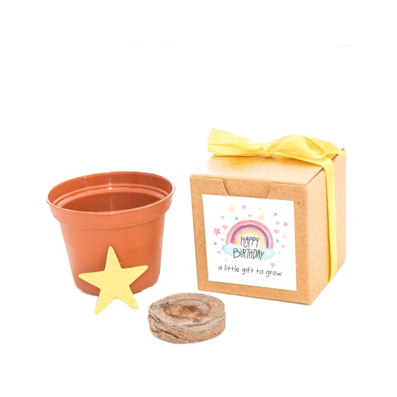 Little Birthday Gift to Grow with Flower Seeds, Small Sustainable Garden Gift Experience, Fun Activity Kit for Kids, Boys and Girls Il_570xn
