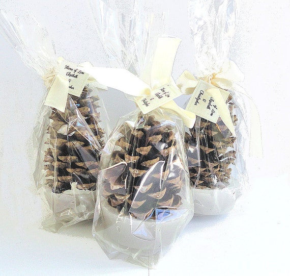 Pine Cone Fire Starter Bridal Shower Favors in Clear Gift Bags with Optional Personalized Tags & Free Shipping Offer Il_570xn