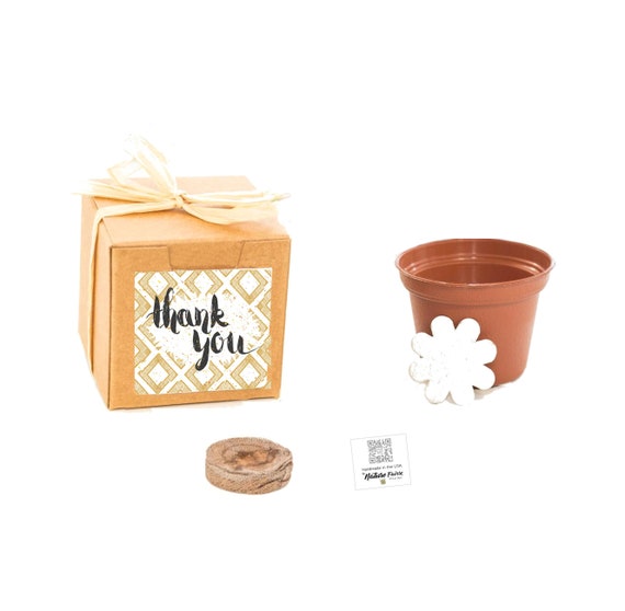 Butterfly Flower Garden Thank You Gift, Small Gift Box Grow Kit, Small Sustainable Thank You Gift, Plant Gift, Affordable Gift Experience Il_570xn