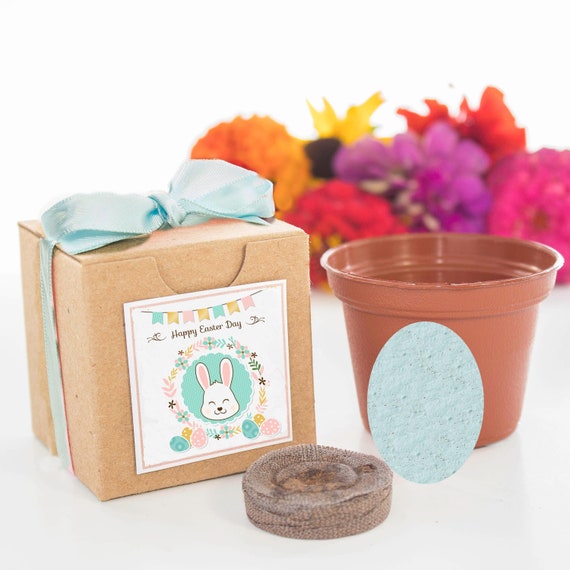Easter Egg Flower Garden Grow Kits Gifts Boys & Girls of All Ages Easter Parties - Easter Basket Filler Easter Party Favor Gifts Il_570xn