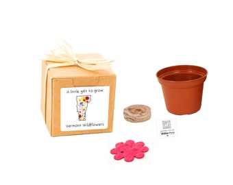 GIFTS to GROW Vermont Wildflower Grow Kit, Small Indoor Outdoor Sustainable Garden Gift Experience, Gift-Ready Flower Seed Planter