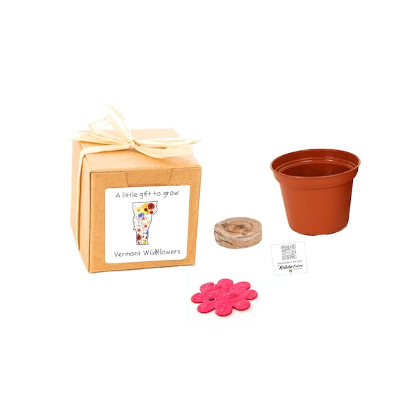 GIFTS to GROW Vermont Wildflower Grow Kit, Small Indoor Outdoor Sustainable  Garden Gift Experience, Gift-ready Flower Seed Planter - Etsy