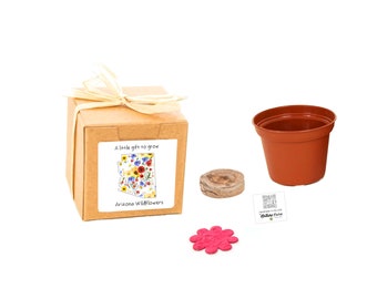 Arizona Gifts to Grow Wildflowers, Small, Sustainable Grow Kits, Personal Gift, Earth Friendly Garden Activity, Sustainable Gift Experience