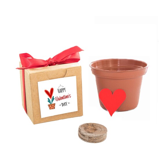 Happy Valentine's Day Flower Garden Grow Kit, Fun At Home Family Garden Gift Activity for Boys, Girls, Family, Friends, & Kids of All Ages Il_570xn