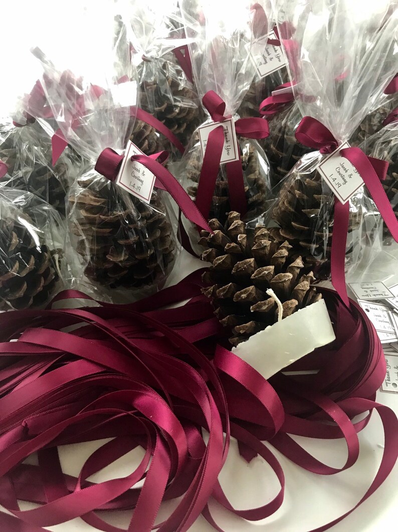 Pinecone Fire Starter Party Favors in Clear Gift Bags Etsy