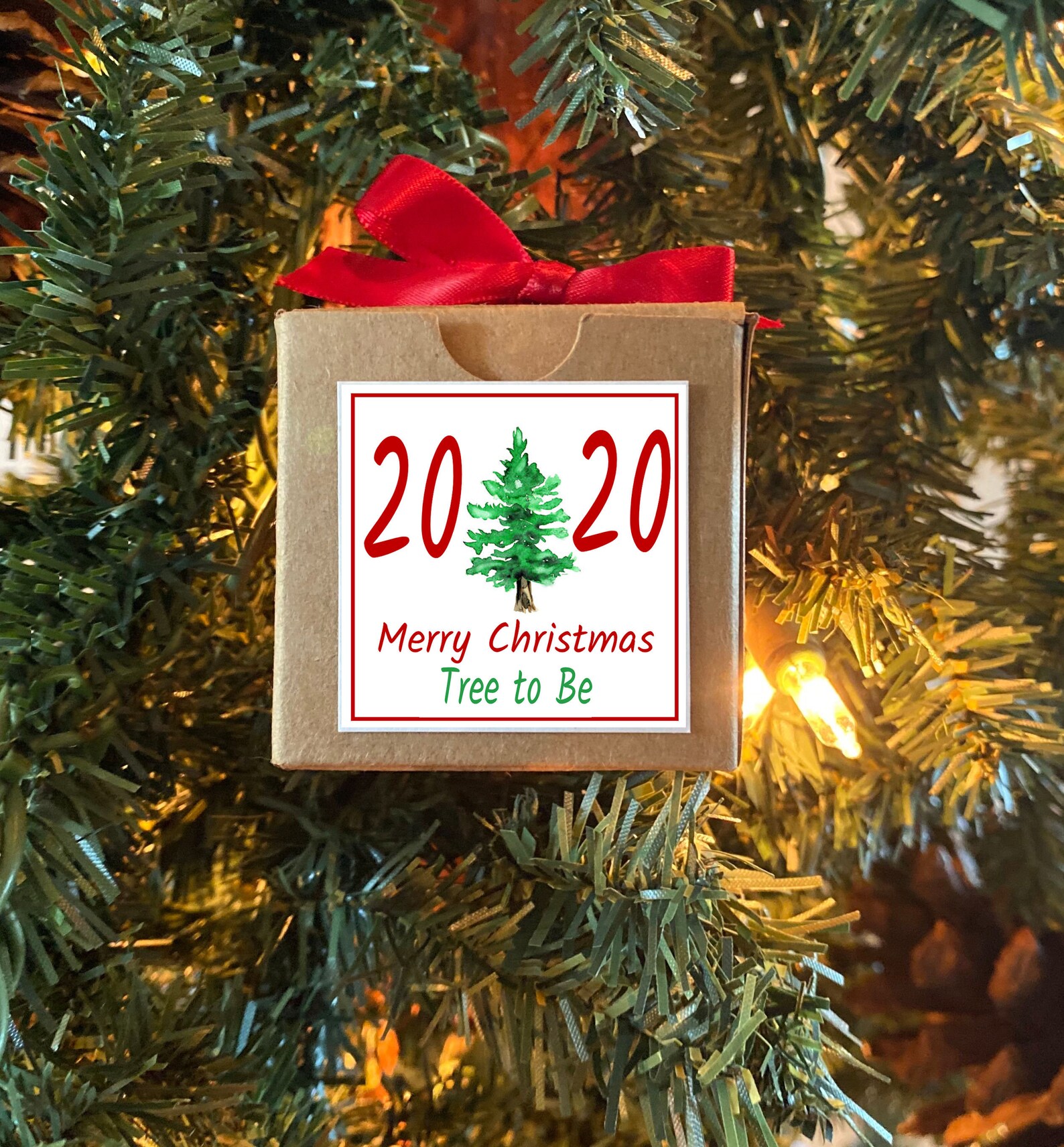 Cultivez un arbre de Noël 2020 Ornement de Noël expérience | Etsy