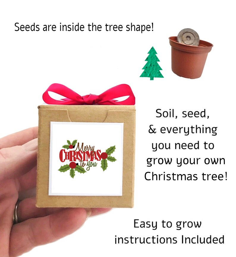 Grow a Christmas Tree Christmas Gift Holiday Party Favor for Etsy