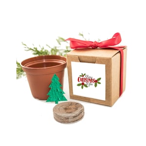 Grow a Christmas Tree! Christmas Gift, Holiday Party Favor for Men, Women, Friends, Coworkers, Employees, Mom or Dad, Fun at Home Activity