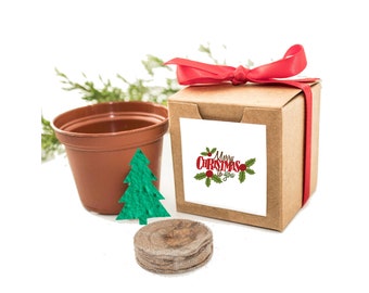 Grow a Christmas Tree! Christmas Gift, Holiday Party Favor for Men, Women, Friends, Coworkers, Employees, Mom or Dad, Fun at Home Activity