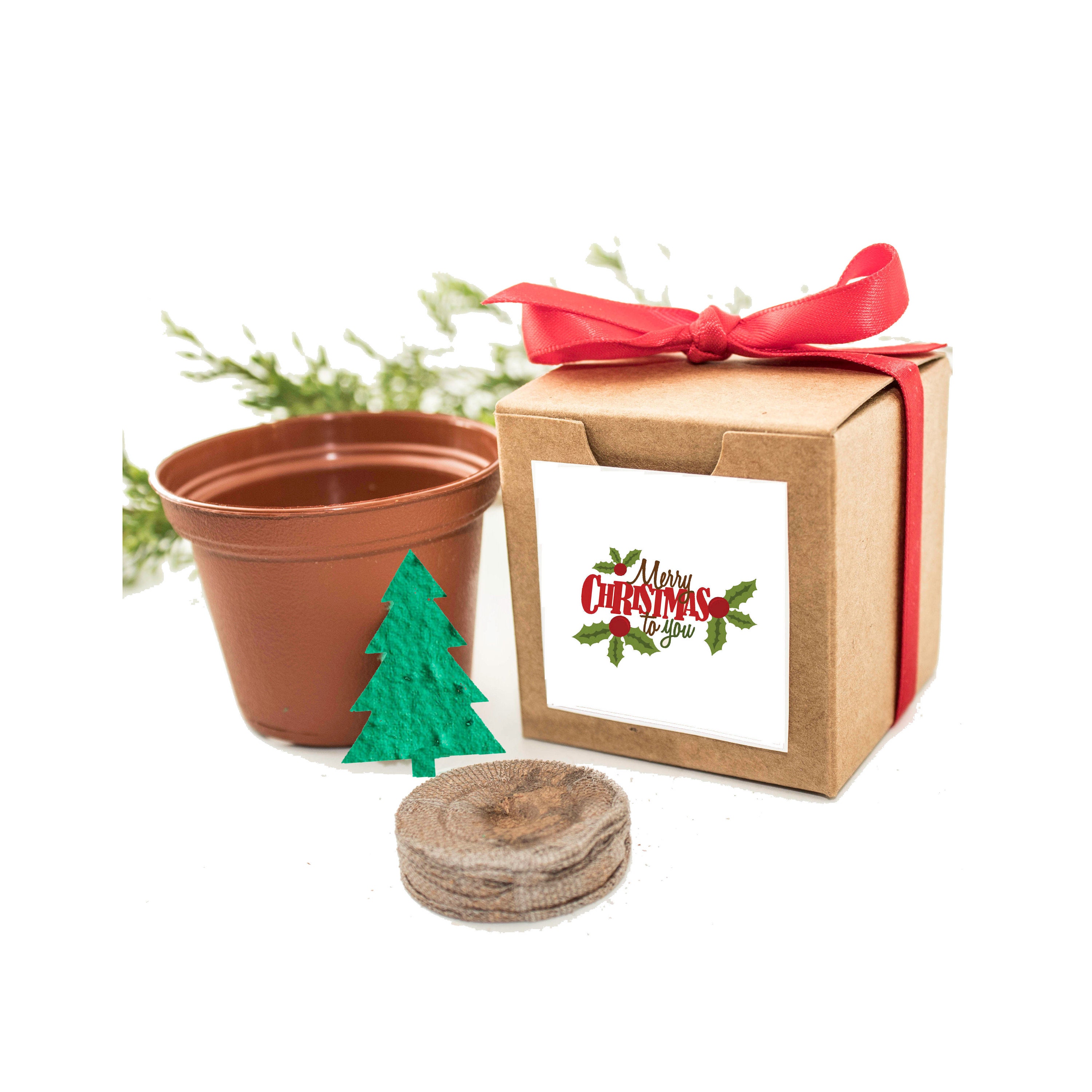 Family Christmas Gift Ideas, Christmas gifts for home, in law Christma –  Plant Box Co