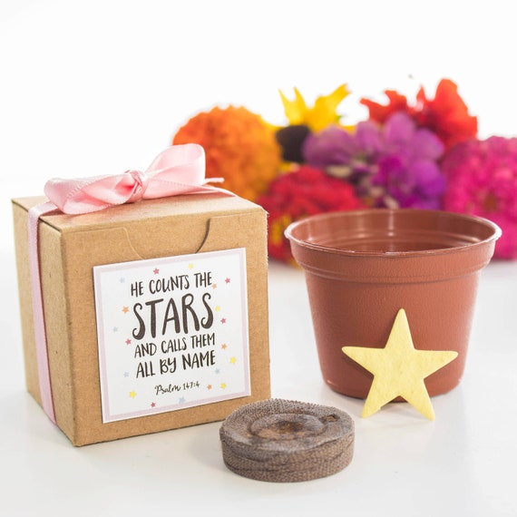 He Counts the Stars Baby Shower Favor Flower Garden Growing Kit for Boy Girl or Gender Neutral Baby Showers - Custom Orders Welcome Il_570xn