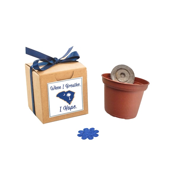 South Carolina Themed Gift Box Flower Grow Kit, South Carolina Flower Seeds, Indoor Outdoor Garden Activity, South Carolina State Souvenir Il_570xn