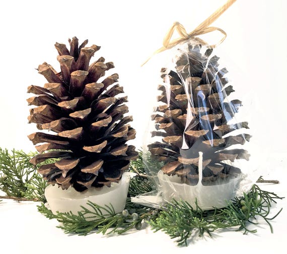 Pine Cone Fire Starter Party Favors, Wedding Favors, & Corporate Gifts Personalized by Nature Favors Il_570xn