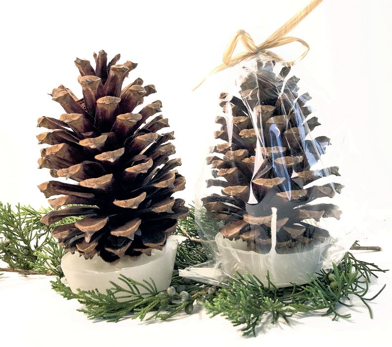Pine Cone Fire Starter Party Favors Wedding Favors & Etsy