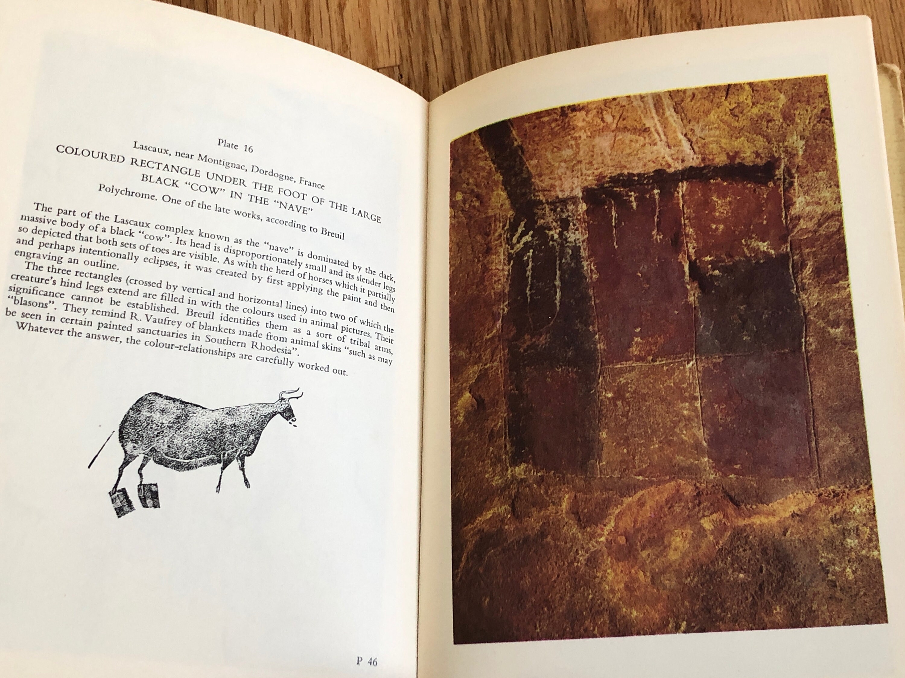 Cave Painting Book Art History Movements in World Art Book Etsy