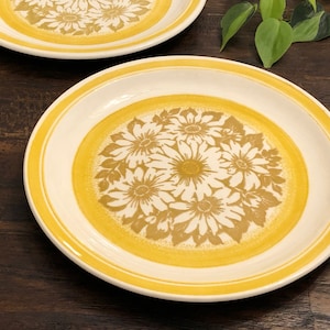 Yellow Floral Plates Set of 2 Dinner Plates Jamestown China Ironstone Vintage Distressed Stoneware Retro Ceramic Orange Brown Beige White