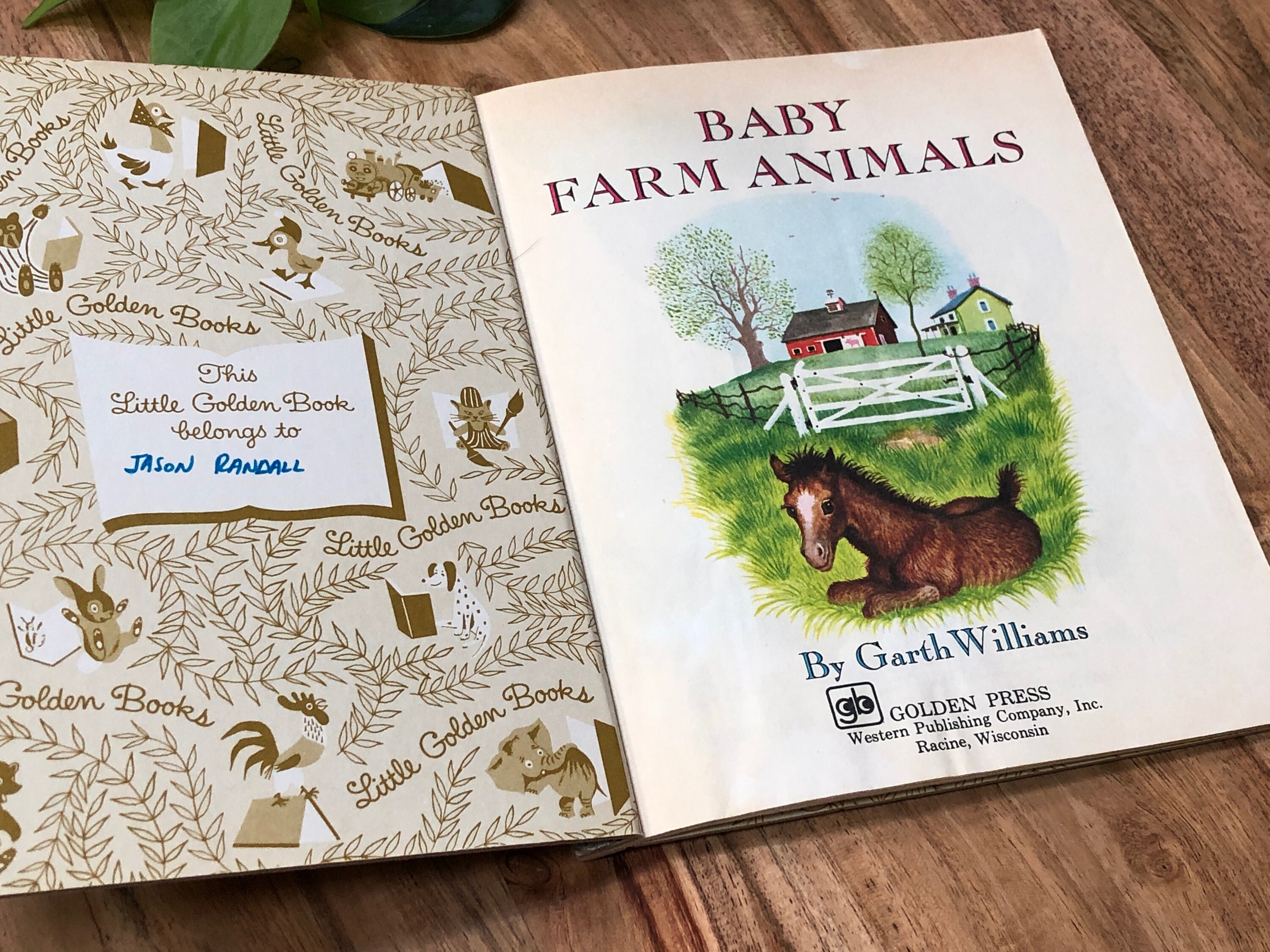 Baby Farm Animals Book Vintage Distressed Golden Book 1973 Etsy