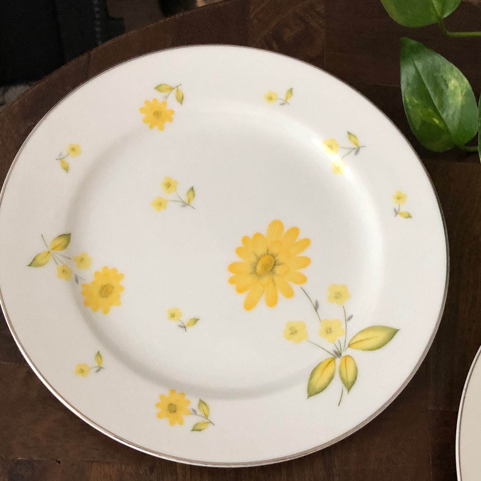 Daisy Plates Set of 3 White Yellow Plates Sunshine Sheffield Etsy