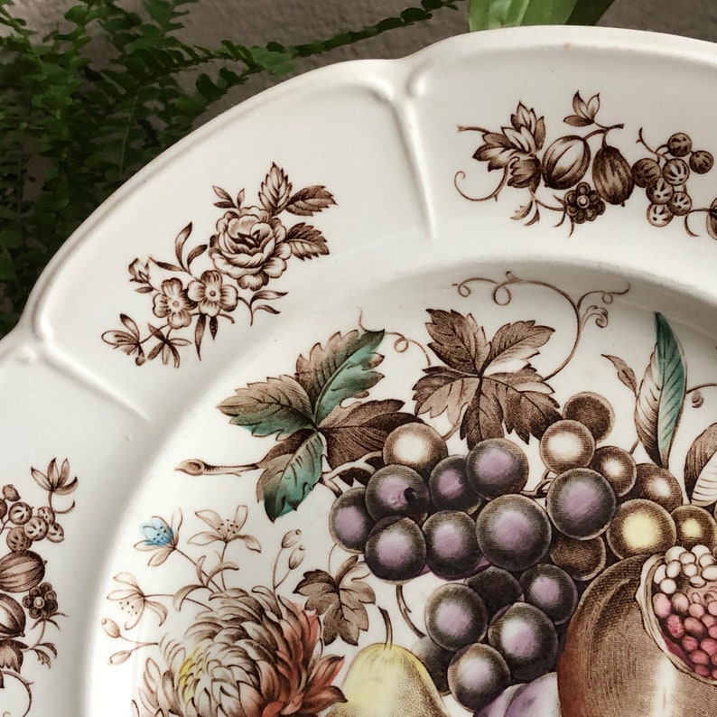 Fruit Plate Dinner Plate Vintage Windsor Fruit Johnson Bros England Brown White