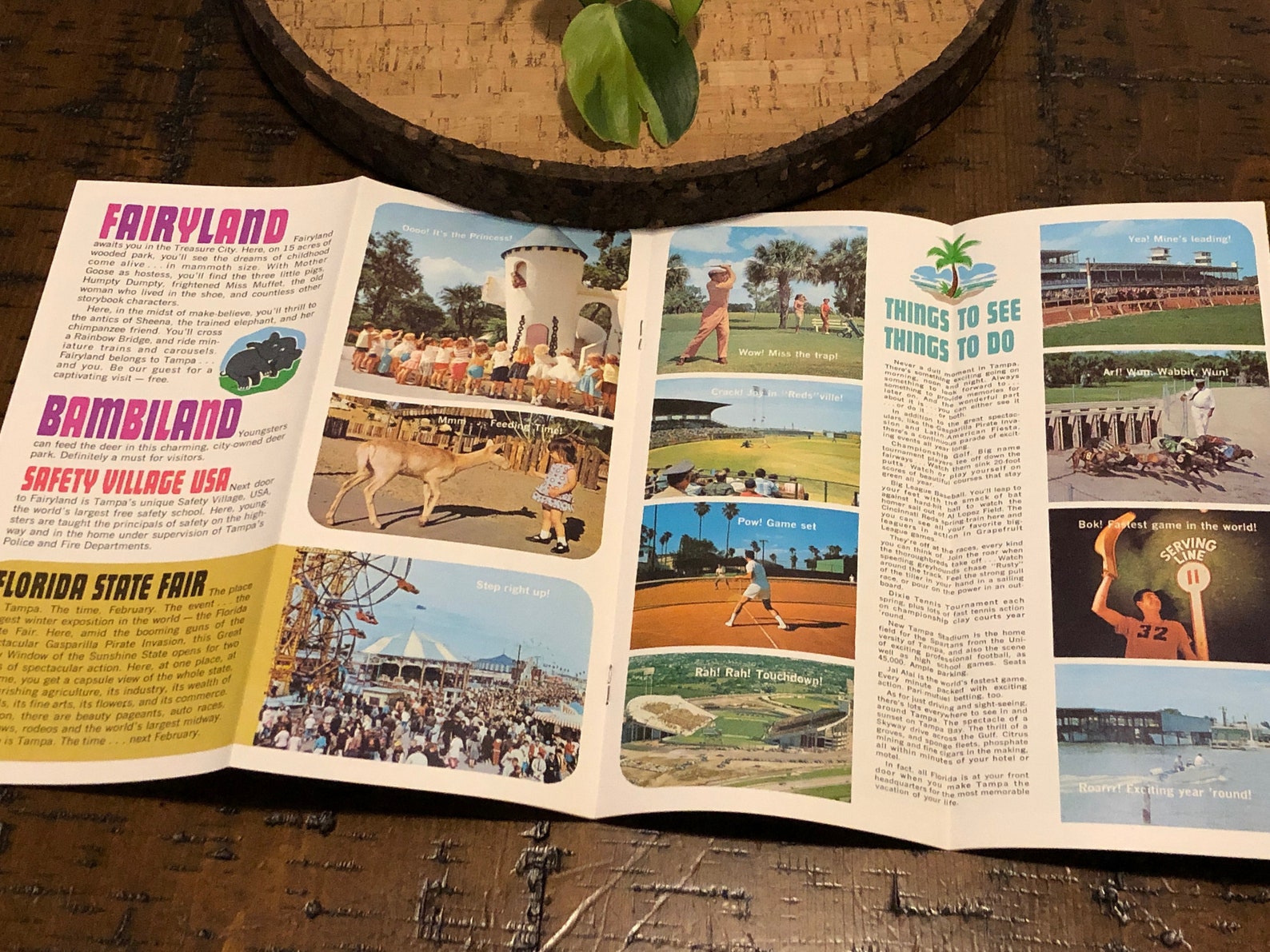 Tampa Brochure Vacation Guide Florida Travel Book Vintage Etsy Tampa Brochure Vacation Guide Florida Travel Book Vintage Etsy