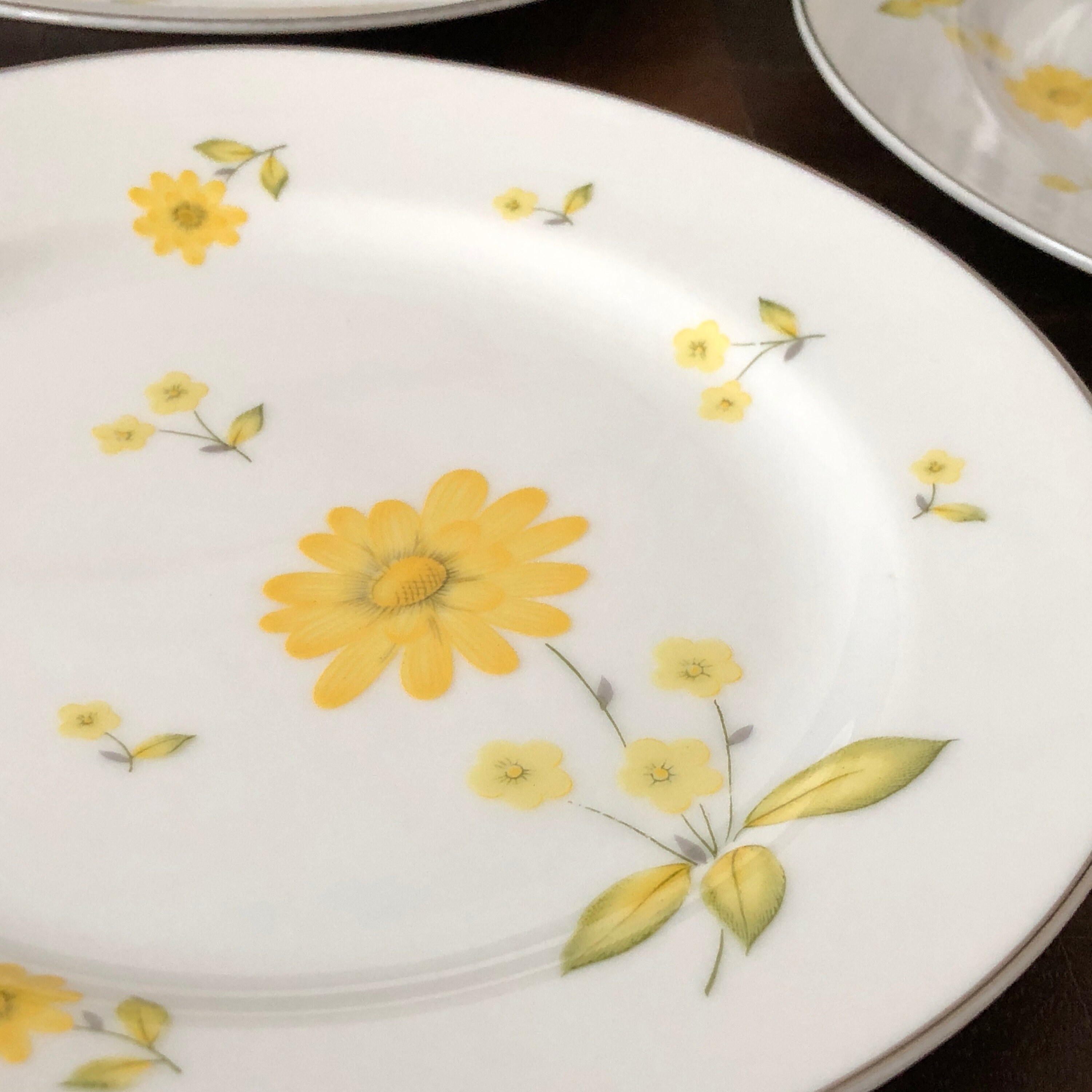 Daisy Plates Set of 3 White Yellow Plates Sunshine Sheffield Etsy