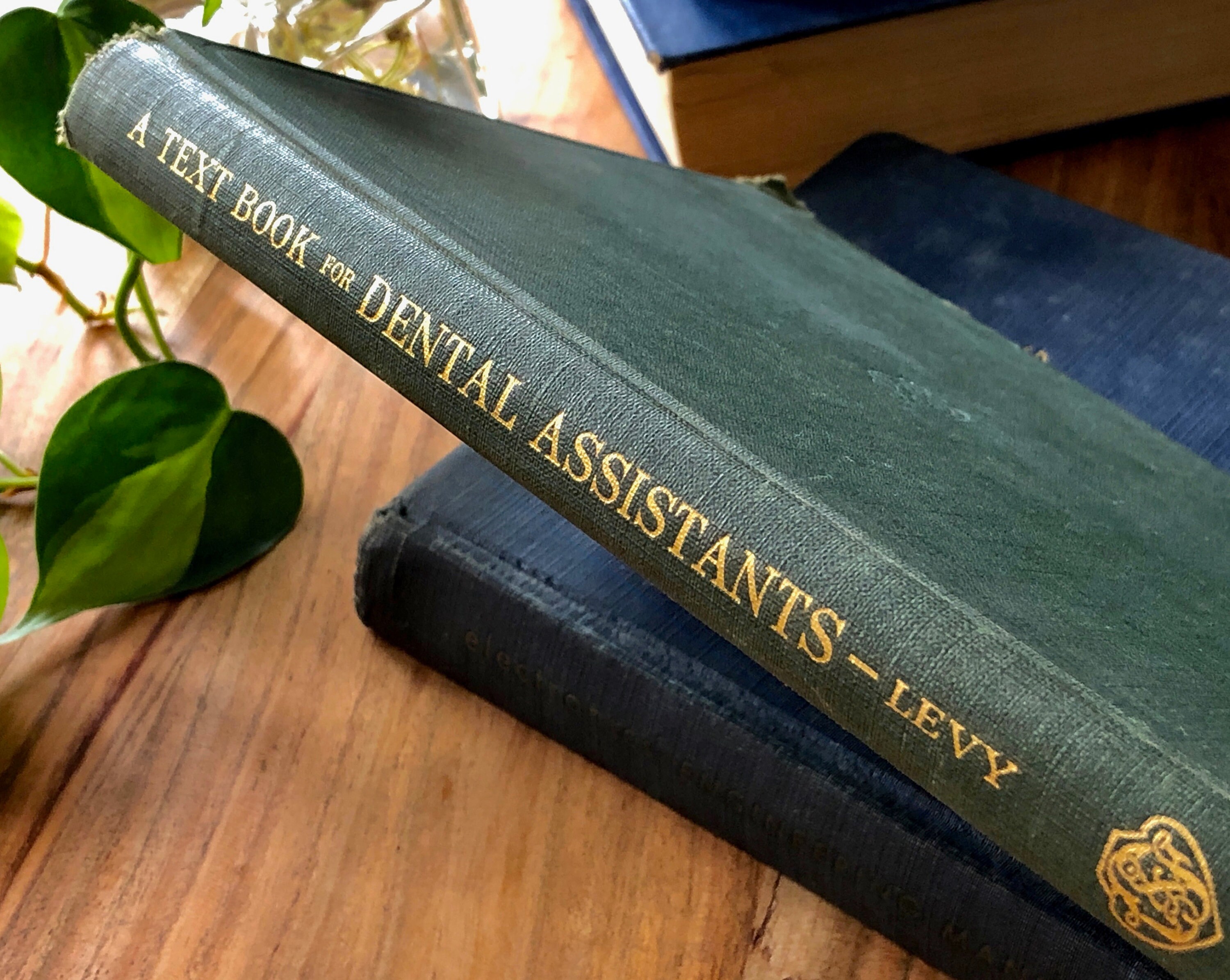 Dental Assistant Textbook Book 1950 Vintage Distressed Green Etsy